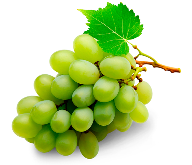UVAS VERDES SIN SEMILLA